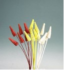 dried flowers d-f017